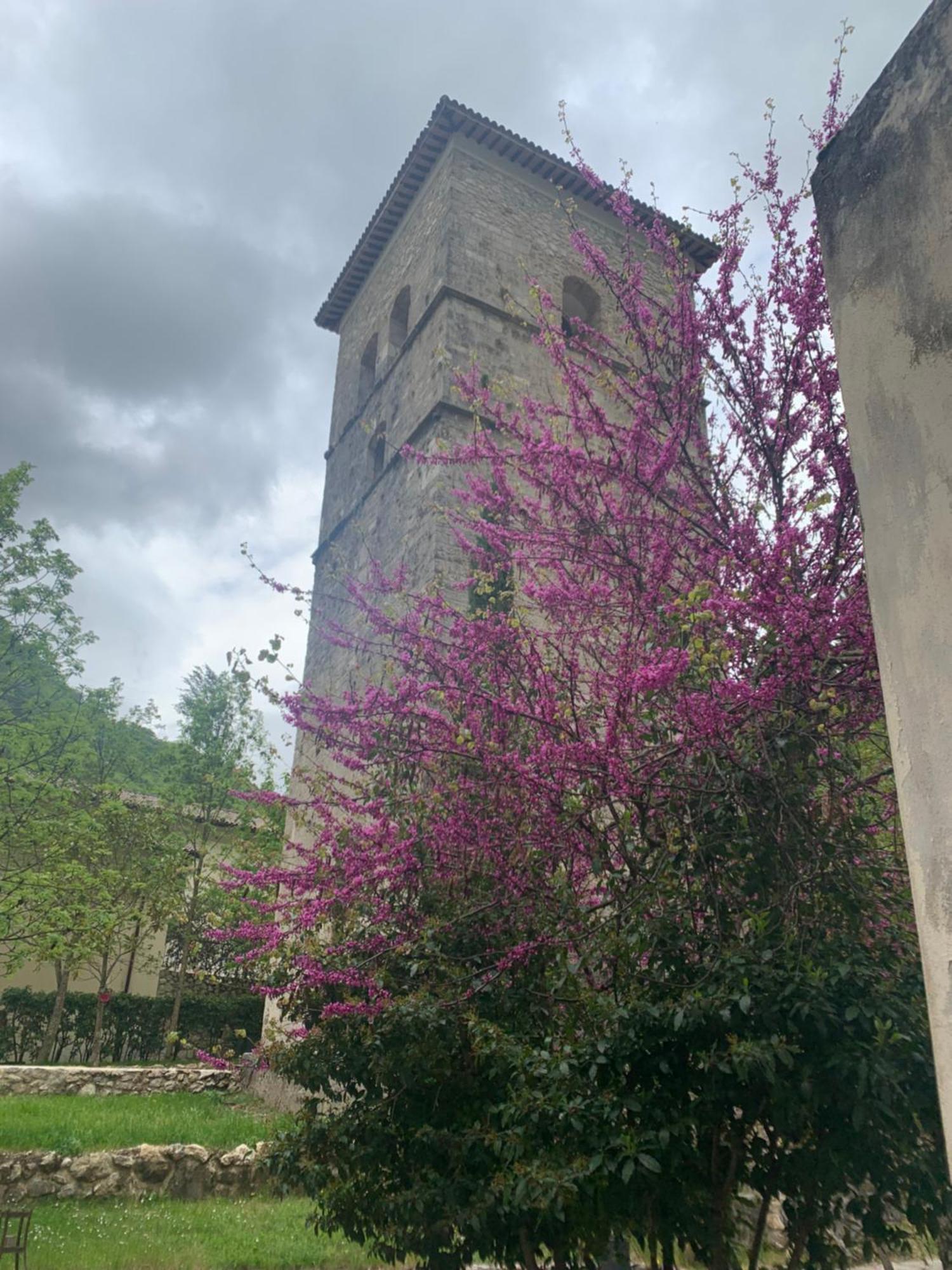 Micigliano Abbazia Ss. Quirico E Giulitta酒店 外观 照片